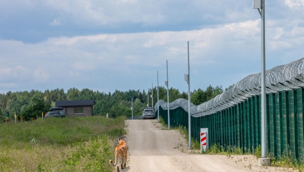 Võrumaal aetakse siia äraeksinud puuma jälgi